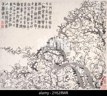 Fleurs de prunes du peintre et calligraphe chinois Jin Nong (金農) (1687-1763) L'une des séries de peintures créées en 1757 lors d'un séjour de six semaines dans la maison de son collègue peintre Luo Ping à Yangzhou. Banque D'Images