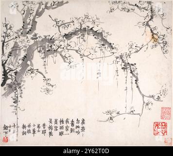 Fleurs de prunes du peintre et calligraphe chinois Jin Nong (金農) (1687-1763) L'une des séries de peintures créées en 1757 lors d'un séjour de six semaines dans la maison de son collègue peintre Luo Ping à Yangzhou. Banque D'Images