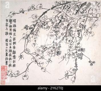 Fleurs de prunes du peintre et calligraphe chinois Jin Nong (金農) (1687-1763) L'une des séries de peintures créées en 1757 lors d'un séjour de six semaines dans la maison de son collègue peintre Luo Ping à Yangzhou. Banque D'Images