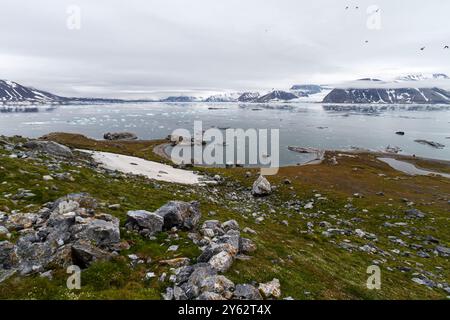 Vue sur la falaise de Gnålodden à Hornsund, sur l'île de Spitzberg dans l'archipel du Svalbard, Norvège. Banque D'Images