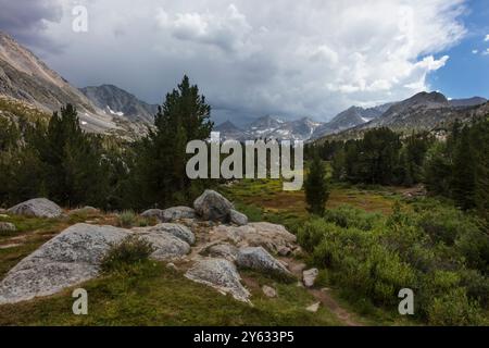 La randonnée Rock Creek commence à la tête du sentier Mosquito Flats avec une altifude de 10 300 pieds dans la Sierra orientale - forêt nationale d'Inyo, Californie Banque D'Images