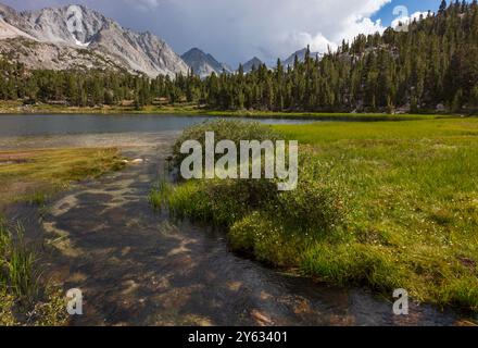 La randonnée Rock Creek commence à la tête du sentier Mosquito Flats à une altitude de 10 300 pieds dans la Sierra orientale - forêt nationale d'Inyo, Californie Banque D'Images