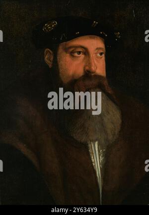 Portrait de Louis X, duc de Bavière (1495-1545). Musée : COLLECTION PRIVÉE. Auteur : CHRISTOPH AMBERGER. Banque D'Images