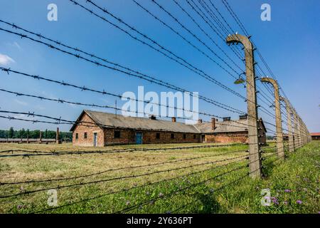 Clôture métallique, camp de concentration d'Auschwitz-Birkenau, musée d'État, Oswiecim, Pologne, europe de l'est. Banque D'Images
