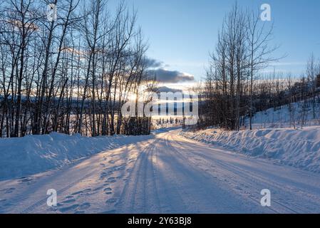 Magnifique paysage hivernal avec route enneigée dans le nord du Canada lors d'une belle journée de ciel bleu entourée de bouleaux, saules dans la nature sauvage. Banque D'Images