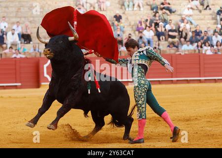 Séville, 04/07/2024. Taureaux de Fermin Bohorquez pour les toreros Lama de Gongora, Ruiz Muñoz et Juan Pedro Garcia 'Calerito'. Photo : Raul Doblado. ARCHSEV. Crédit : album / Archivo ABC / Raúl Doblado Banque D'Images