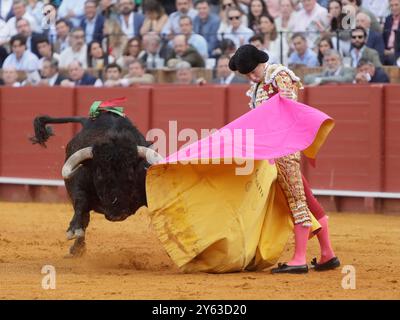 Séville, 04/07/2024. Taureaux de Fermin Bohorquez pour les toreros Lama de Gongora, Ruiz Muñoz et Juan Pedro Garcia 'Calerito'. Photo : Raul Doblado. ARCHSEV. Crédit : album / Archivo ABC / Raúl Doblado Banque D'Images