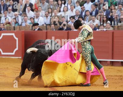 Séville, 04/07/2024. Taureaux de Fermin Bohorquez pour les toreros Lama de Gongora, Ruiz Muñoz et Juan Pedro Garcia 'Calerito'. Photo : Raul Doblado. ARCHSEV. Crédit : album / Archivo ABC / Raúl Doblado Banque D'Images