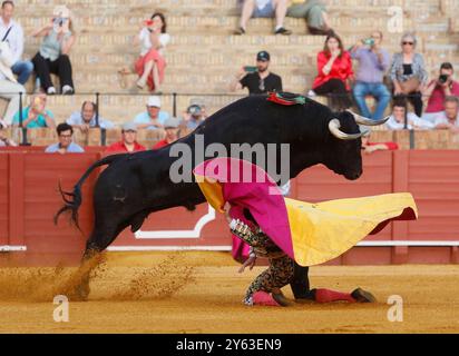 Séville, 04/07/2024. Taureaux de Fermin Bohorquez pour les toreros Lama de Gongora, Ruiz Muñoz et Juan Pedro Garcia 'Calerito'. Photo : Raul Doblado. ARCHSEV. Crédit : album / Archivo ABC / Raúl Doblado Banque D'Images