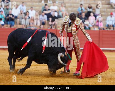 Séville, 04/07/2024. Taureaux de Fermin Bohorquez pour les toreros Lama de Gongora, Ruiz Muñoz et Juan Pedro Garcia 'Calerito'. Photo : Raul Doblado. ARCHSEV. Crédit : album / Archivo ABC / Raúl Doblado Banque D'Images