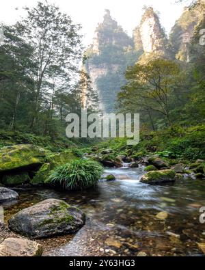 Forêt nationale sauvage de Zhangjiajie dans la province du Hunan avec crique, eau qui traverse la région sauvage et d'énormes montagnes. Banque D'Images