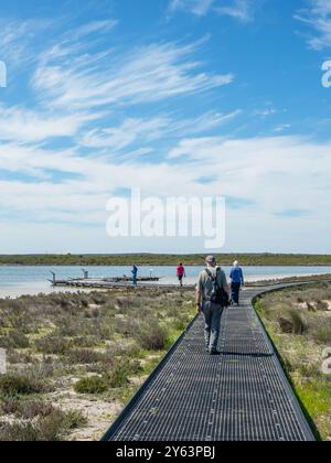 Le Lake Thetis Loop Trail, près de Cervantes en Australie occidentale, est connu pour ses stromatolites et ses thrombolites. Banque D'Images