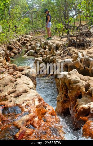 Lagon de Goanna (Wathawuy) Banque D'Images