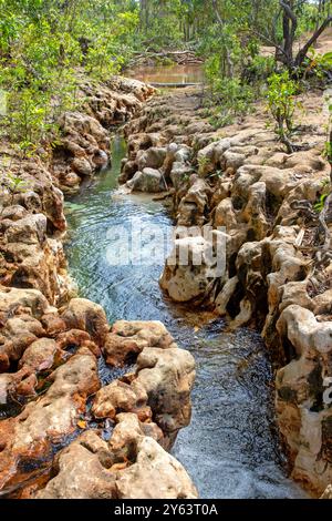 Lagon de Goanna (Wathawuy) Banque D'Images