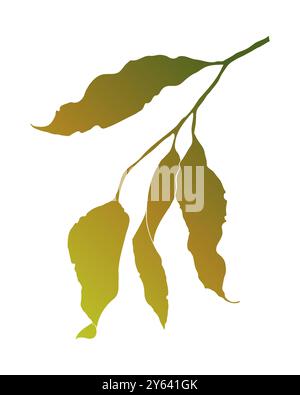 Feuilles de gradient d'automne sur branche mince, isolées sur fond blanc. Illustration vectorielle Illustration de Vecteur