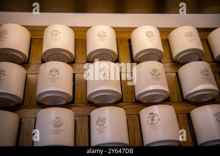 Jan 30, 2022, Xiamen, Chine : petites tasses en céramique pour la cérémonie du thé Banque D'Images