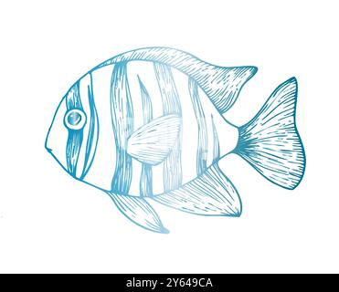 Poisson tropical vecteur. Ligne peinte à la main récif exotique. Clip art tropical graphique isolé sur fond. Illustration sous-marine. Pour les concepteurs Illustration de Vecteur