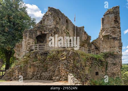 Les ruines d'un château médiéval posées contre un ciel avec des nuages. Un arbre est d'un côté et un mât de drapeau est au centre du château. Une clôture en bois est ouverte Banque D'Images