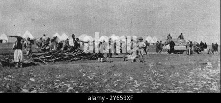 Réfugiés syriens et arméniens : Camp de Ba'qubah , près de Bagdad , Irak , organisé par les Britanniques , arrangements pour l'alimentation de 50 000 exilés ; réfugiés tirant leurs rations . 7 juin 1919 Banque D'Images