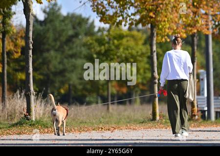 Munich, Deutschland. 24 septembre 2024. Propriétaire de chien, gardien de chien en train de se promener dans le parc Riemer. Walker, promenant le chien, propriétaire de chien. Chien, animal de compagnie. ? Crédit : dpa/Alamy Live News Banque D'Images