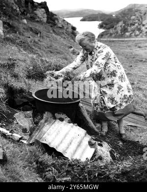 Isle of Harris Tweed - Mme McDonald - l'un des 'secrets' des tisserands Harris. Placer Bracken dans la cuve de teinture. La laine sera bouillie avec cela pendant plusieurs heures, et finira par devenir un beau vert pâle. - 1960 Banque D'Images