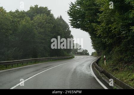 Une vue sereine d'une route sinueuse enveloppée de forêts denses dans la Géorgie rurale, mettant en valeur le paysage brumeux et luxuriant typique de la région Banque D'Images