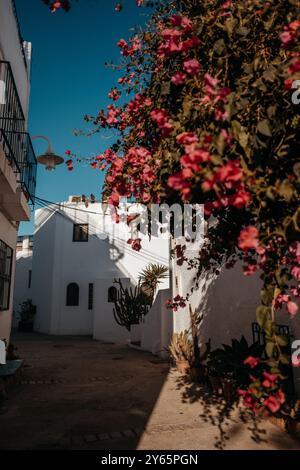 Une scène pittoresque d'Agua Amarga, Almeria, capturant l'essence d'une rue pittoresque bordée de maisons blanchies à la chaux et de fleurs roses vibrantes Banque D'Images