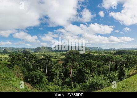 Vaste paysage montrant la luxuriante vallée de Vinales et ses mogotes sous le ciel bleu avec des nuages à Pinar del Rio, Cuba. Banque D'Images