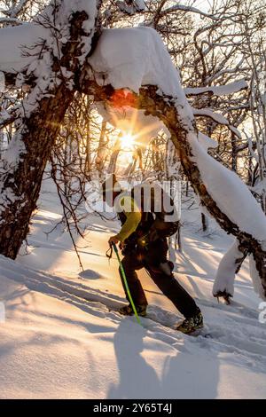 Un randonneur solitaire traverse une forêt enneigée d'Hokkaido à Niseko, au Japon, avec le coucher de soleil en arrière-plan Banque D'Images