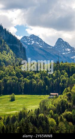 Des prairies verdoyantes et des forêts denses mènent aux sommets escarpés des Alpes suisses à Jaun, en Suisse, mettant en valeur la beauté vibrante d'une journée d'été Banque D'Images