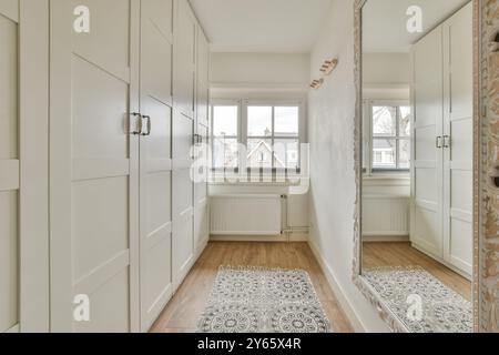 Couloir lumineux et contemporain avec de nombreux rangements avec un élégant placard blanc intégré et un tapis décoratif aux motifs complexes. Banque D'Images