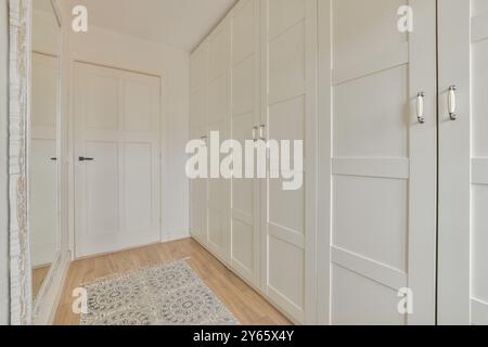 Un intérieur spacieux avec des portes d'armoire blanches élégantes avec des poignées en métal sur un plancher en bois avec un tapis orné. Banque D'Images