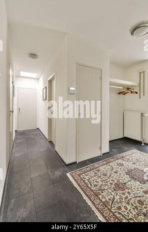 Une photo intérieure épurée du couloir d'une maison moderne avec des portes blanches, un tapis à motifs et un sol carrelé, illuminé par la lumière naturelle. Banque D'Images