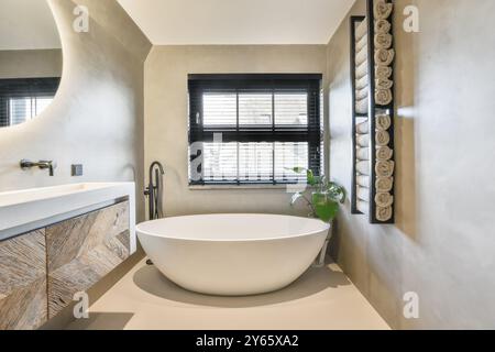 Salle de bains de style contemporain avec baignoire blanche sur pied, meuble-lavabo en bois et serviettes soigneusement enroulées sur une étagère. Banque D'Images