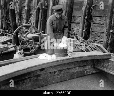 Femmes marins . De nombreux skippers , pendant la guerre ont pris leurs femmes comme skippers , et beaucoup d'entre eux ont traversé la Manche pour la France avec des histoires dans toutes sortes de temps , bravant les dangers de la mine et du sous-marin . Mme Braizer combine les tâches domestiques avec dont de Mate . 21 mars 1919 Banque D'Images