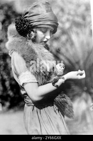 Le plus petit singe en captivité appartient à Miss Ruth Clifford un spécimen nain du singe écureuil du 25 janvier 1923 Banque D'Images