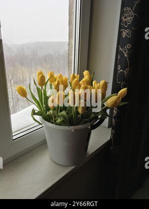 Bouquet de tulipes jaune vif placé dans un seau blanc sur un rebord de fenêtre, avec un paysage enneigé visible à travers la fenêtre. Fraîcheur, tranquillité Banque D'Images