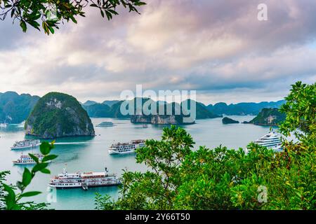 Vue aérienne spectaculaire de la baie d'Ha long par une journée d'été ensoleillée avec ciel bleu et bateaux naviguant. Tir drone de point de repère touristique hotspot, concept de touri Banque D'Images