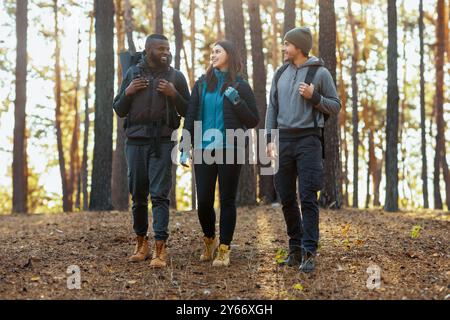 Groupe d'amis en randonnée à la campagne, ayant la conversation Banque D'Images