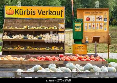 Dasing, Bavière, Allemagne - 23 septembre 2024 : un stand rustique présente la récolte de citrouilles sous différentes formes, tailles et variétés. Au-dessus du stand est accrochée une grande bannière jaune accrocheuse avec l'inscription : vente de citrouille *** Ein rustikaler stand präsentiert die Kürbis-Ernte in verschiedenen Formen, Größen und Sorten. über dem stand hängt ein Großer, auffälliger gelber Banner mit der Aufschrift : Kürbis Verkauf Banque D'Images