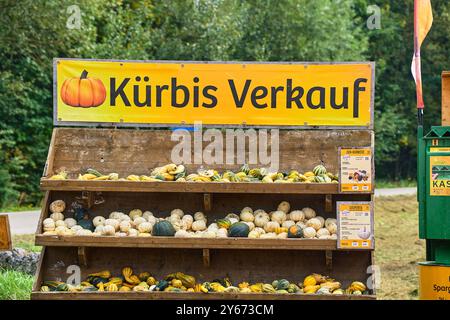 Dasing, Bavière, Allemagne - 23 septembre 2024 : un stand rustique présente la récolte de citrouilles sous différentes formes, tailles et variétés. Au-dessus du stand est accrochée une grande bannière jaune accrocheuse avec l'inscription : vente de citrouille *** Ein rustikaler stand präsentiert die Kürbis-Ernte in verschiedenen Formen, Größen und Sorten. über dem stand hängt ein Großer, auffälliger gelber Banner mit der Aufschrift : Kürbis Verkauf Banque D'Images