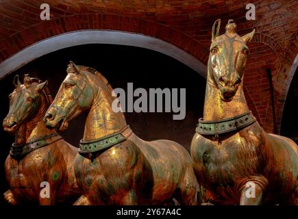 Quatre chevaux de Saint Marc, les chevaux de bronze originaux maintenant logés à l'intérieur de la basilique Saint Marc à des fins de conservation, Venise, Italie Banque D'Images