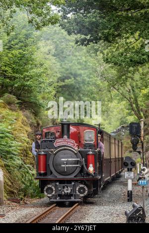 Ffestiniog Railway 'double Fairlie' 0-4-4-0T No. 12 'David Lloyd George' approche de la station Tan-y-Bwlch sur le Blaenau Festiniog Railway Banque D'Images