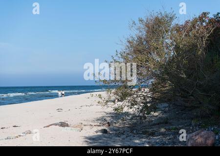 Strand am Bakenberg im Nordwesten der Insel Rügen auf der Halbinsel Wittow in Mecklenburg-Vorpommern im septembre 2024, Die sonne scheint, der Strand ist leer. 22.09.2024 Halbinsel Wittow *** plage à Bakenberg au nord-ouest de l'île de Rügen sur la péninsule de Wittow en Mecklembourg-Poméranie occidentale en septembre 2024, le soleil brille, la plage est vide 22 09 2024 péninsule de Wittow 20240922-DSC 6884 Banque D'Images