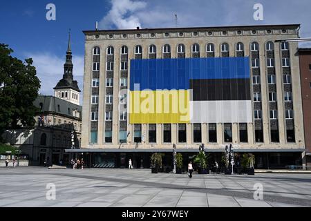 Tallinn, Estonie - 24 juillet 2024 : le drapeau de l'Ukraine et le drapeau de l'Estonie sur la place de la liberté à Tallinn. Banque D'Images