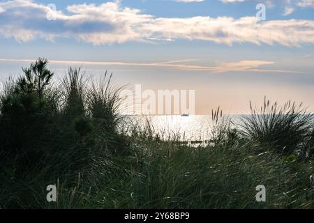 Landzunge Gellen im Süden der Insel Hiddensee in Mecklenburg-Vorpommern, AMT West-Rügen, Blick durch Strandgras auf der Düne zur Ostsee. EnBW Offshore-Transferschiff Landzunge Gellen *** Landzunge Gellen dans le sud de l'île de Hiddensee dans le Mecklembourg-Poméranie occidentale, AMT West Rügen, vue à travers l'herbe de plage sur la dune jusqu'à la mer Baltique EnBW Offshore Transfer Ship Landzunge Gellen 20240921-DSC 6811 Banque D'Images