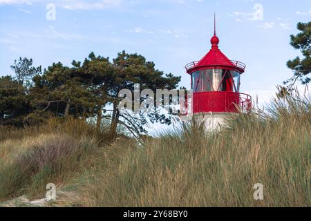 IM Jahre 1905 erbautes Leuchtfeuer/ Leuchtturm Gellen im Süden der Insel Hiddensee in Mecklenburg-Vorpommern, AMT West-Rügen, 12 Meter Hoch,Windflüchter Kiefer Leuchtturm Gellen *** en 1905 construit phare Gellen dans le sud de l'île Hiddensee in Mecklenburg Vorpommern, AMT West Rügen, 12 mètres de hauteur,Windflüchter Kiefer Leuchtturm 20240921-6819-DGSC Banque D'Images