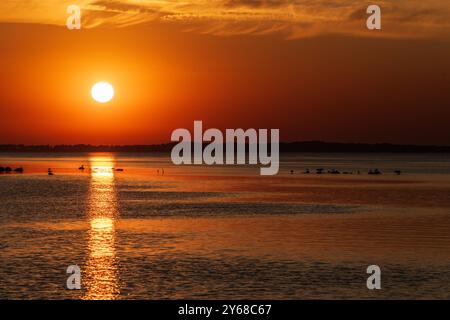 Sonnenuntergang am Hafen Schaprode auf der Insel Rügen, Insel Hiddensee im Hintergrund in Mecklenburg-Vorpommern, AMT West-Rügen Hafen Schaprode *** coucher de soleil au port de Schaprode sur l'île de Rügen, île de Hiddensee en arrière-plan à Mecklenburg-Vorpommern, AMT West Rügen Hafen Schaprode 20240921-DSC 6825 Banque D'Images