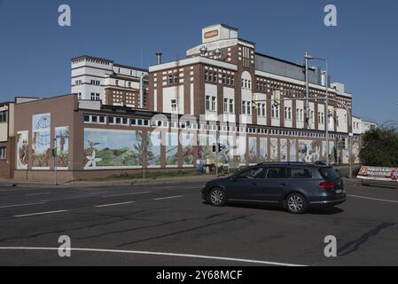 Torréfaction de café Roestfein Kaffee GmbH sur Hafenstrasse dans le quartier Alte Neustadt, Magdebourg, Saxe-Anhalt, Allemagne, Europe Banque D'Images