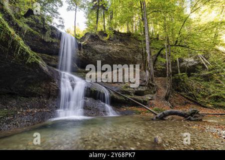 Une cascade dans une forêt dense avec de grands arbres et des rochers couverts de mousse qui créent une scène paisible, Hasenreuter Wasserfall, Scheidegg, Bavière, Allemagne Banque D'Images